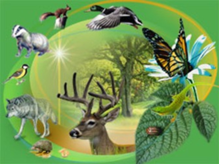 Подготовка к ЕНТ