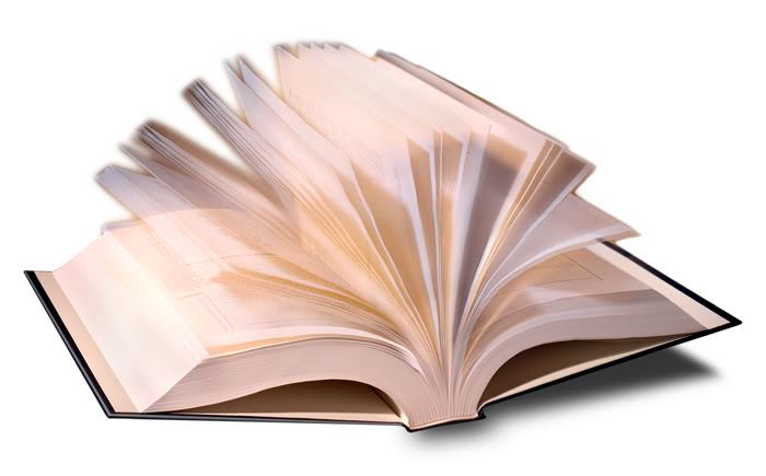 Учебная деятельность